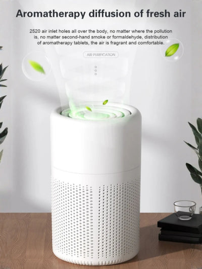 USB air ionizer

